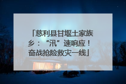 慈利县甘堰土家族乡：“汛”速响应！奋战抢险救灾一线