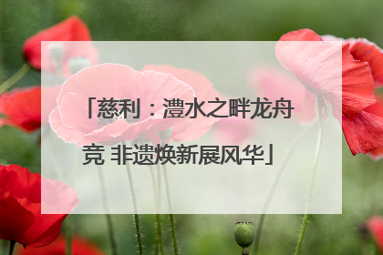 慈利：澧水之畔龙舟竞 非遗焕新展风华