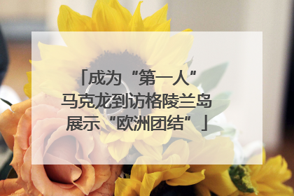 成为“第一人” 马克龙到访格陵兰岛展示“欧洲团结”