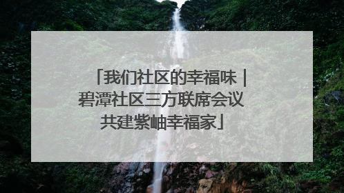 我们社区的幸福味｜碧潭社区三方联席会议共建紫岫幸福家