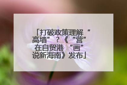 打破政策理解“高墙”？《“营”在自贸港 “画”说新海南》发布