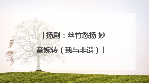 扬剧：丝竹悠扬 妙音婉转（我与非遗）