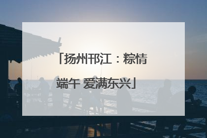 扬州邗江：粽情端午 爱满东兴