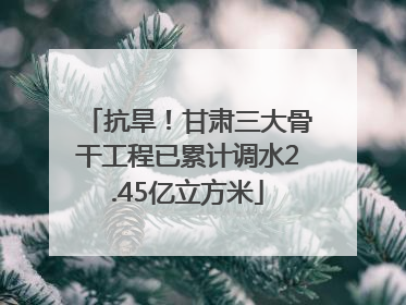 抗旱！甘肃三大骨干工程已累计调水2.45亿立方米