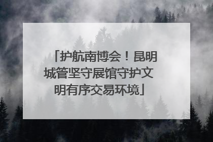护航南博会！昆明城管坚守展馆守护文明有序交易环境