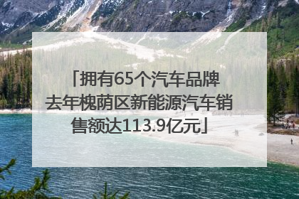 拥有65个汽车品牌 去年槐荫区新能源汽车销售额达113.9亿元