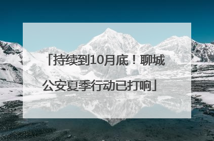 持续到10月底！聊城公安夏季行动已打响