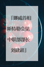 挪威首相斯特勒会见中联部部长刘建超