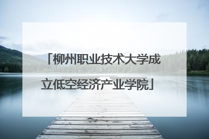 柳州职业技术大学成立低空经济产业学院
