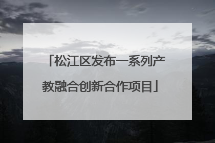 松江区发布一系列产教融合创新合作项目
