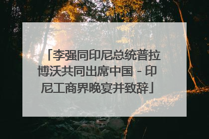 李强同印尼总统普拉博沃共同出席中国－印尼工商界晚宴并致辞