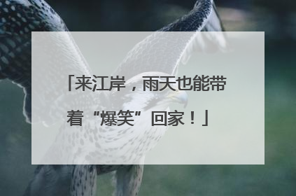 来江岸，雨天也能带着“爆笑”回家！