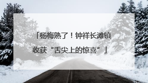 杨梅熟了！钟祥长滩镇收获“舌尖上的惊喜”