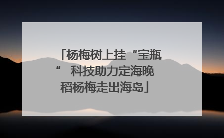 杨梅树上挂“宝瓶” 科技助力定海晚稻杨梅走出海岛