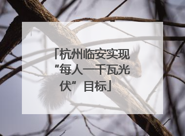杭州临安实现“每人一千瓦光伏”目标