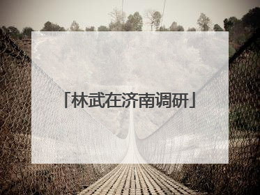 林武在济南调研