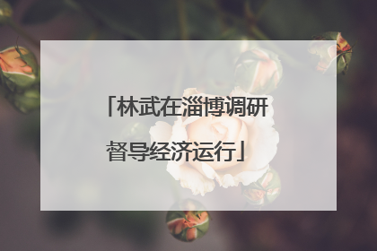 林武在淄博调研督导经济运行