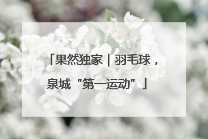 果然独家｜羽毛球，泉城“第一运动”