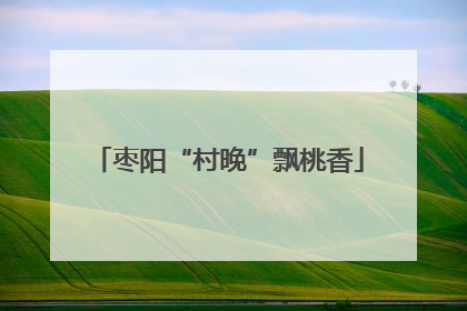 枣阳“村晚”飘桃香