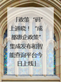 政策“码”上通晓！“成都惠企政策”集成发布和智能查询平台今日上线