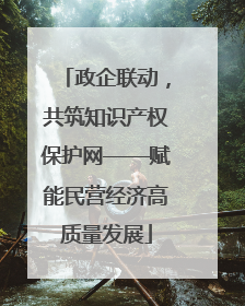 政企联动，共筑知识产权保护网——赋能民营经济高质量发展