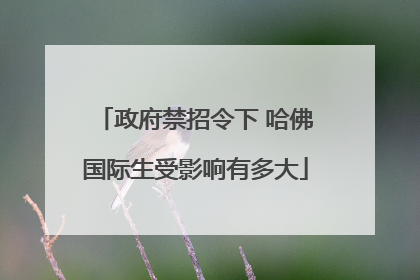 政府禁招令下 哈佛国际生受影响有多大