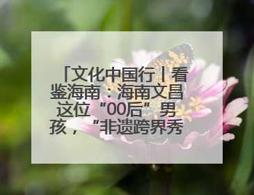 文化中国行丨看鉴海南：海南文昌这位“00后”男孩，“非遗跨界秀”走起