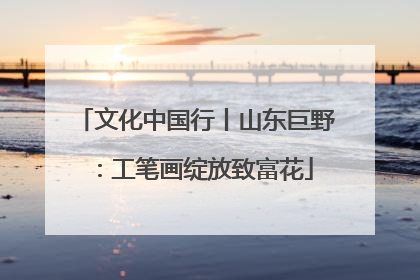 文化中国行丨山东巨野：工笔画绽放致富花