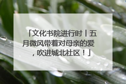 文化书院进行时丨五月微风带着对母亲的爱，吹进城北社区！