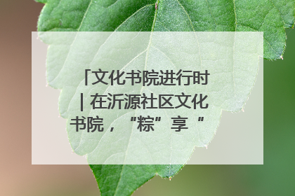 文化书院进行时｜在沂源社区文化书院，“粽”享“端午”美好时光