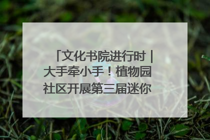 文化书院进行时｜大手牵小手！植物园社区开展第三届迷你马拉松活动