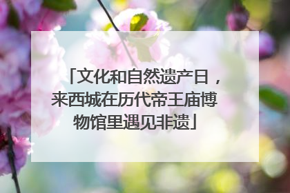 文化和自然遗产日，来西城在历代帝王庙博物馆里遇见非遗