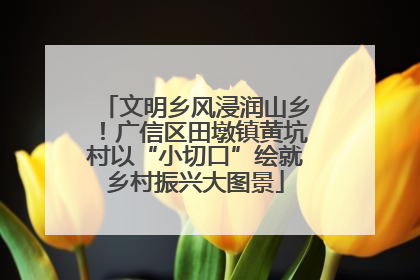 文明乡风浸润山乡！广信区田墩镇黄坑村以“小切口”绘就乡村振兴大图景