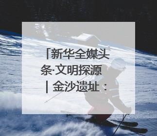 新华全媒头条·文明探源｜金沙遗址：太阳神鸟起飞的地方