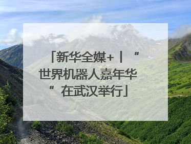 新华全媒+丨“世界机器人嘉年华”在武汉举行