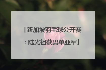 新加坡羽毛球公开赛：陆光祖获男单亚军