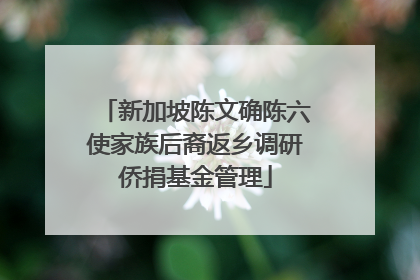 新加坡陈文确陈六使家族后裔返乡调研侨捐基金管理