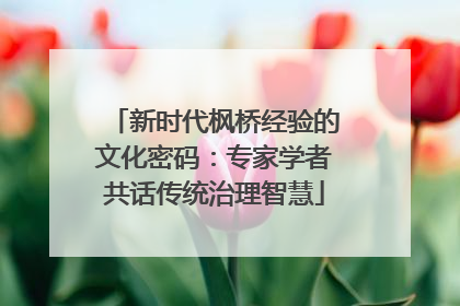 新时代枫桥经验的文化密码：专家学者共话传统治理智慧