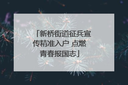新桥街道征兵宣传精准入户 点燃青春报国志