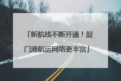 新航线不断开通！厦门港航运网络更丰富