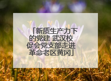 新质生产力下的党建 武汉校促会党支部走进革命老区黄冈