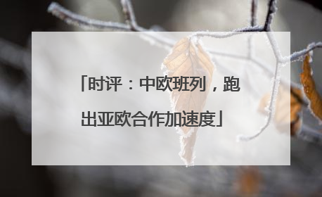 时评：中欧班列，跑出亚欧合作加速度