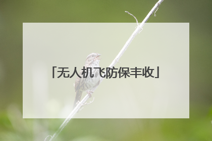 无人机飞防保丰收