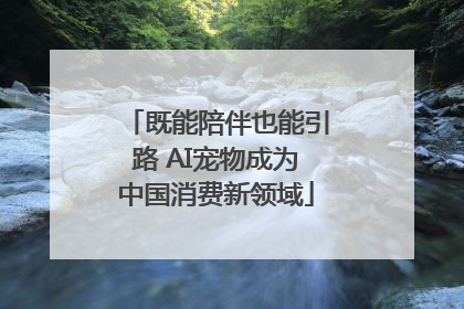 既能陪伴也能引路 AI宠物成为中国消费新领域