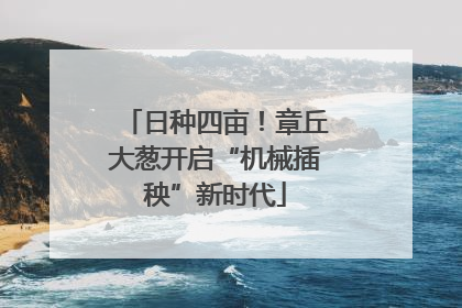 日种四亩！章丘大葱开启“机械插秧”新时代