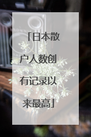 日本散户人数创有记录以来最高