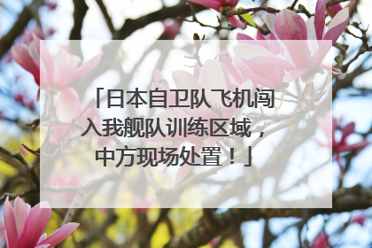 日本自卫队飞机闯入我舰队训练区域，中方现场处置！