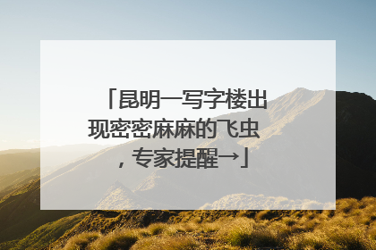 昆明一写字楼出现密密麻麻的飞虫，专家提醒→