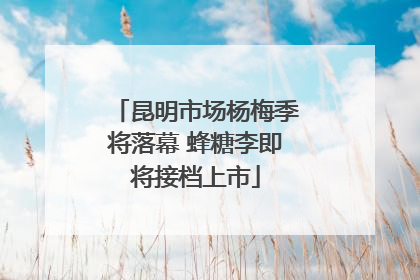 昆明市场杨梅季将落幕 蜂糖李即将接档上市