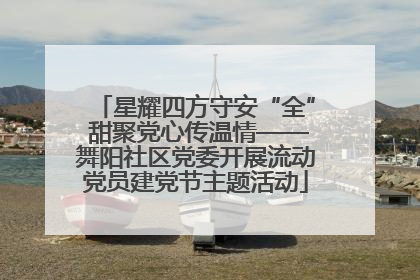 星耀四方守安“全” 甜聚党心传温情——舞阳社区党委开展流动党员建党节主题活动